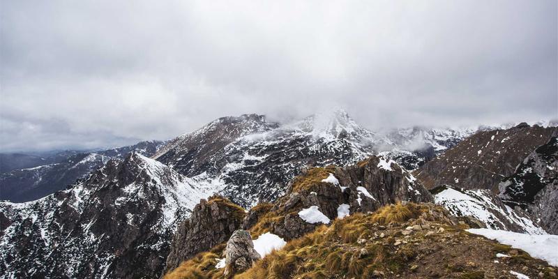 中国艺术品收藏攻略:在古董中探寻文化根脉与时代价值