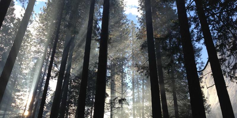 从艺术展览到市场焦点：女性艺术家在陶瓷收藏领域的价值重估——以鸿星阁为例