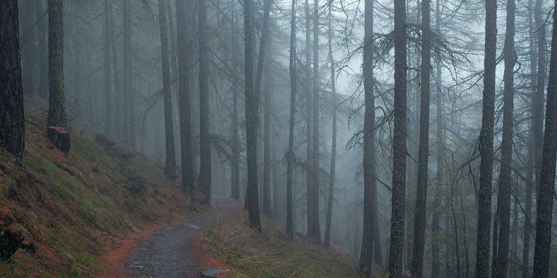 从艺术展览看中国雕塑的收藏价值与当代叙事