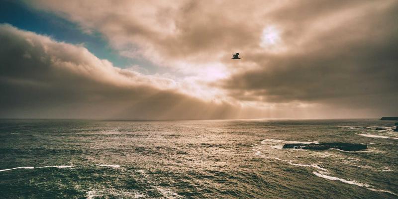 从雕塑到古董：艺术品收藏的鉴赏之道与市场洞察