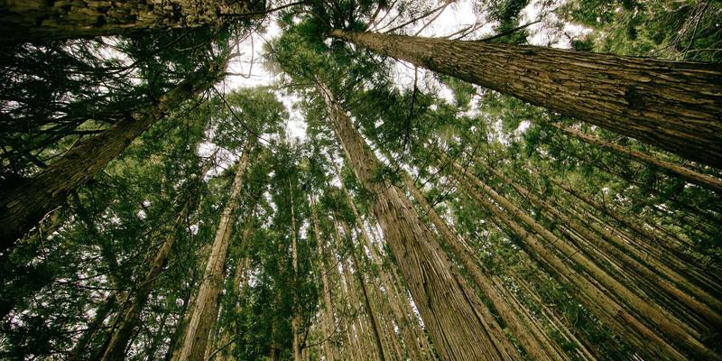 战后与当代艺术大师作品的真伪鉴定与收藏路径：在文化交流与艺术展览中洞察价值