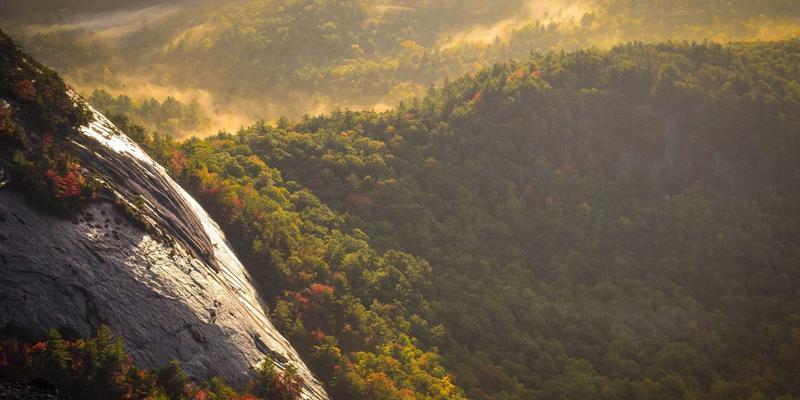 浮世绘与东方古董收藏：从艺术展览看日本美学如何重塑西方现代艺术市场