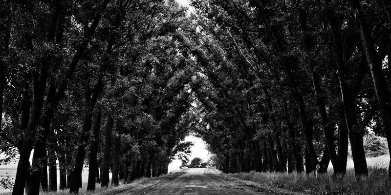 艺术品仓储与物流：专业解决方案如何守护您的雕塑与字画收藏安全