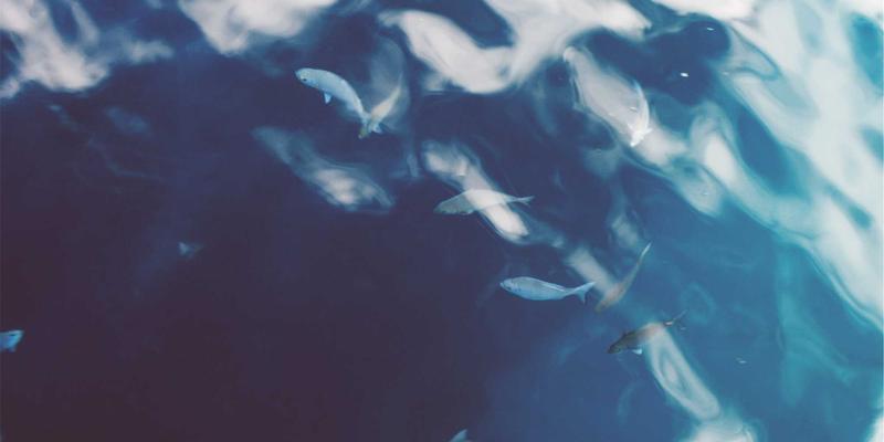 艺术品收藏58：雕塑、陶瓷与跨文化对话的艺术密码