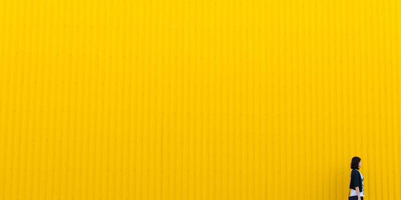 艺术品收藏97：在艺术展览中洞察古董与字画的收藏价值