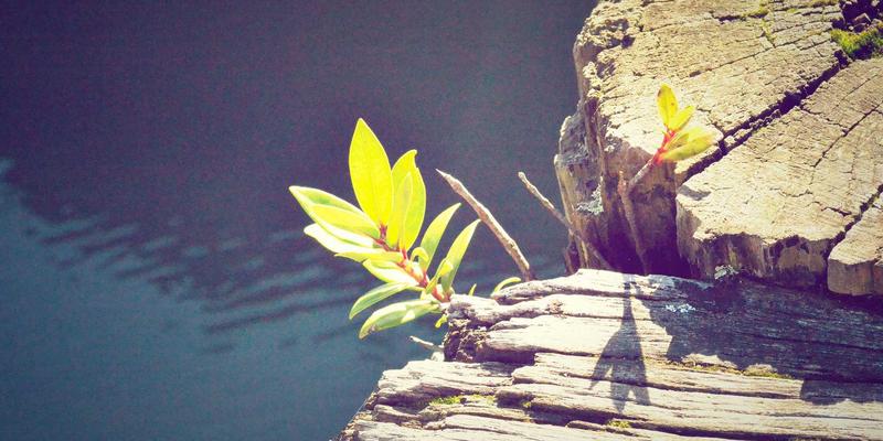 艺术品收藏的保险与风险管理：如何为珍贵藏品选择全面保障方案