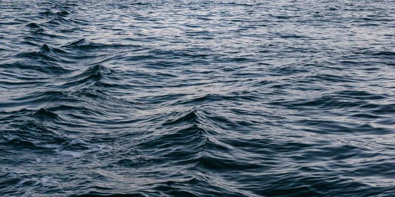 西方古典油画收藏：鉴赏要点、市场价值与文化交流中的鸿星阁启示