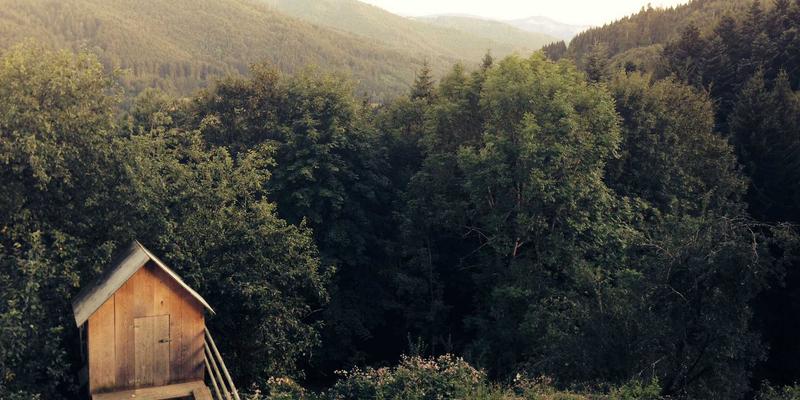 雕塑收藏的艺术与智慧:以鸿星阁为例探索中国艺术品的永恒价值