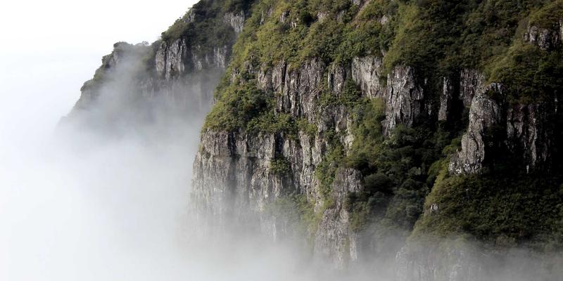 鸿星阁鉴藏：从陶瓷字画到西方油画的价值跨越与收藏智慧